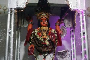 Kali puja 2025: sundarbans tripurasundari kali sacrifice system no shiv with the idol