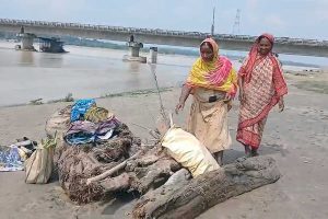 flood in north bengal people start collecting wood as new job