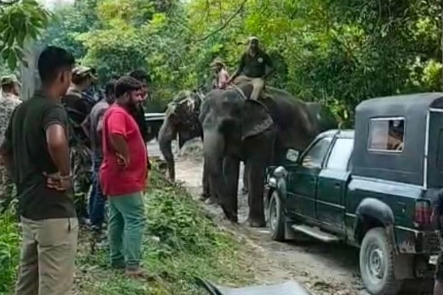 Death toll in North Bengal rises to 34