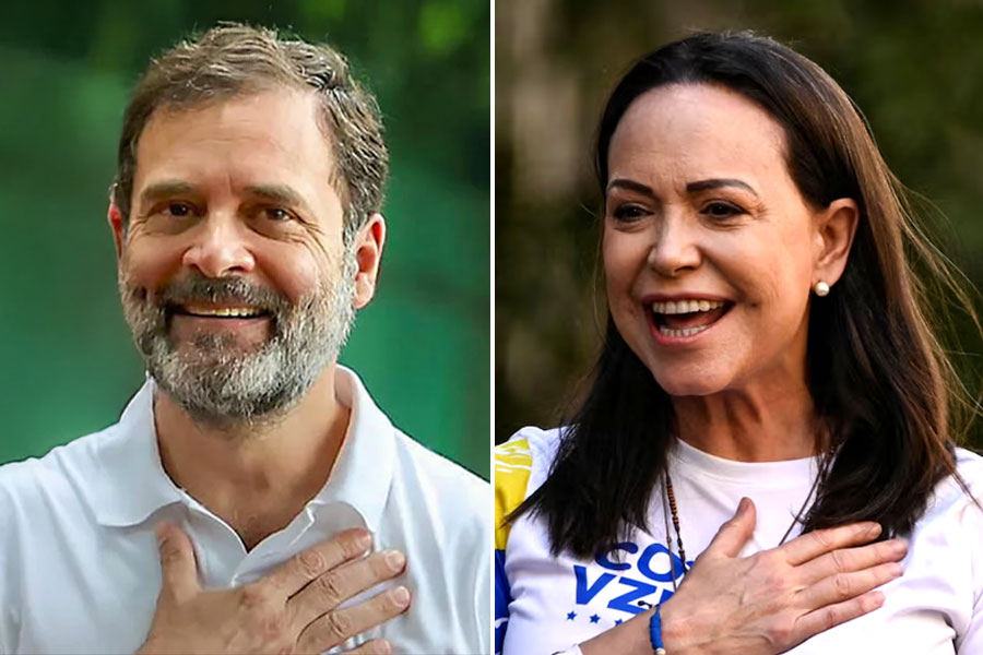 Rahul Gandhi also fights for democracy, Congress leader's post on Nobel Peace Prize