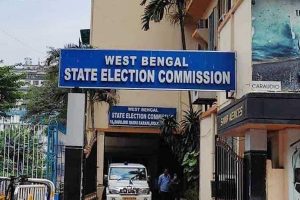 State election commission get new additional and joint CEO in the