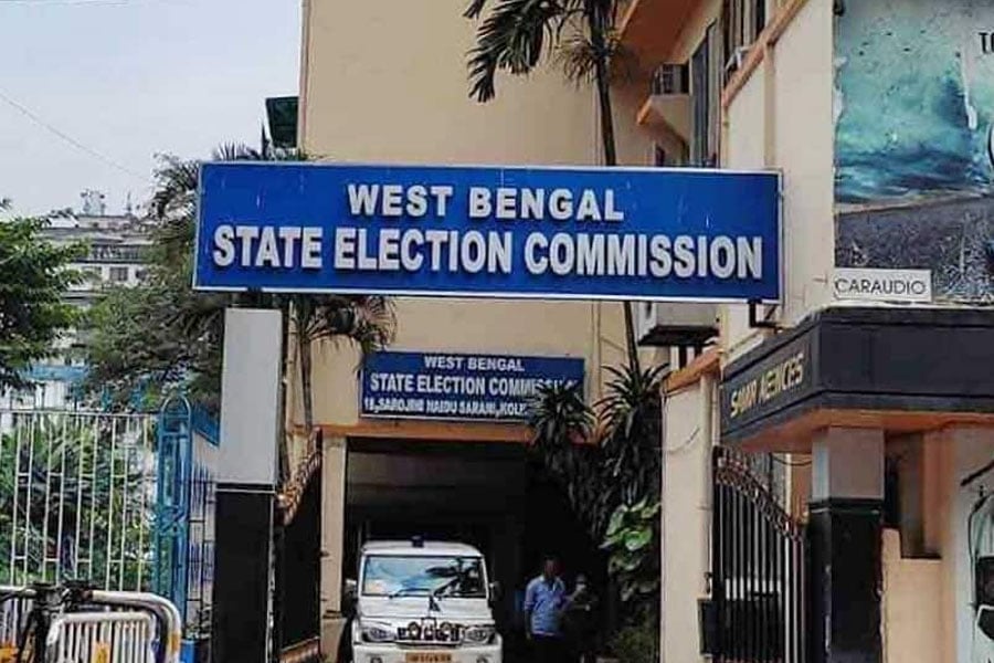 State election commission get new additional and joint CEO in the