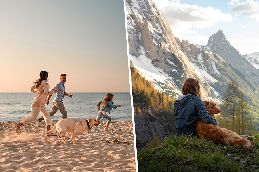 Lifestyle News: some pet-friendly escapes across India that every pet parent will love
