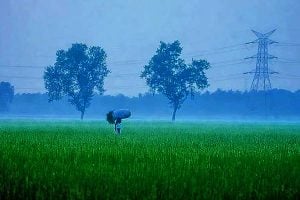 Weather: Monsoon to end in 24 hours Temperatures to drop in western districts in wb