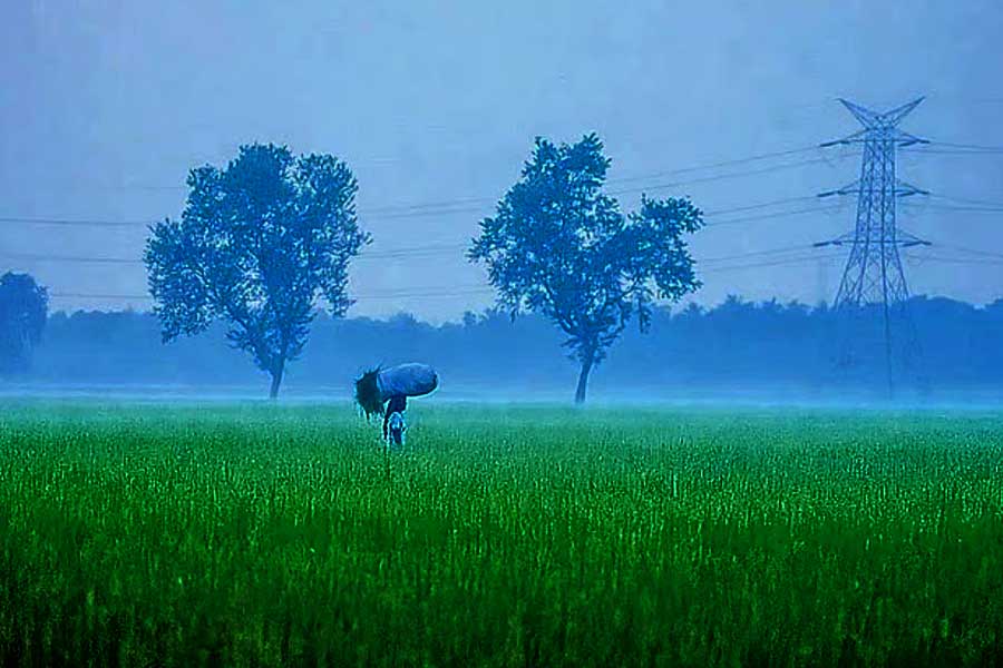 Weather: Monsoon to end in 24 hours Temperatures to drop in western districts in wb
