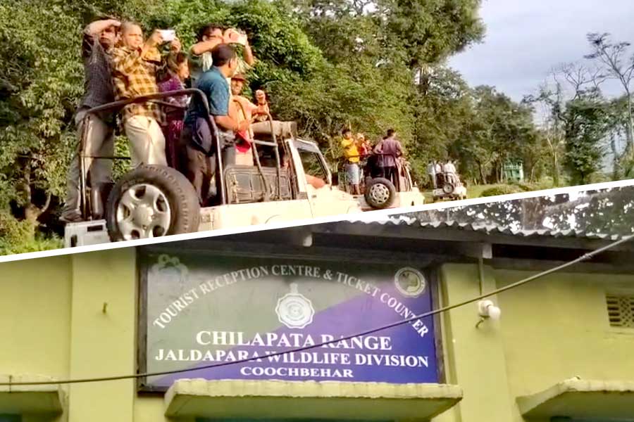 Jaldapara National Park Reopens After Disaster, Tourists Flock on First Day