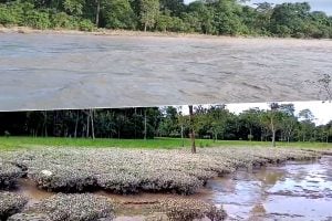 336 bighas of vegetables destroyed in Alipurduar due to disaster